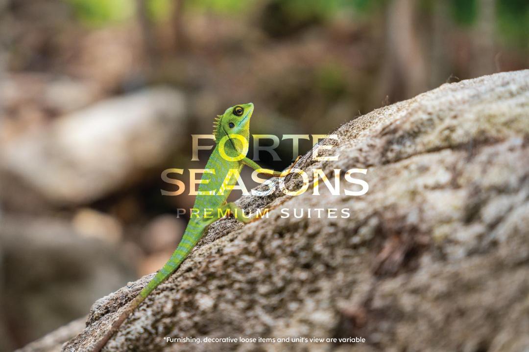 Photo of Others in Bukit Tinggi