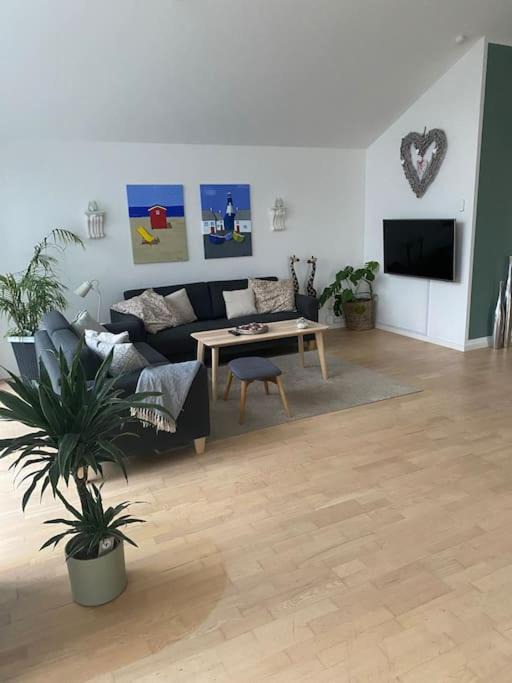 Photo of Livingroom in Stenstrup