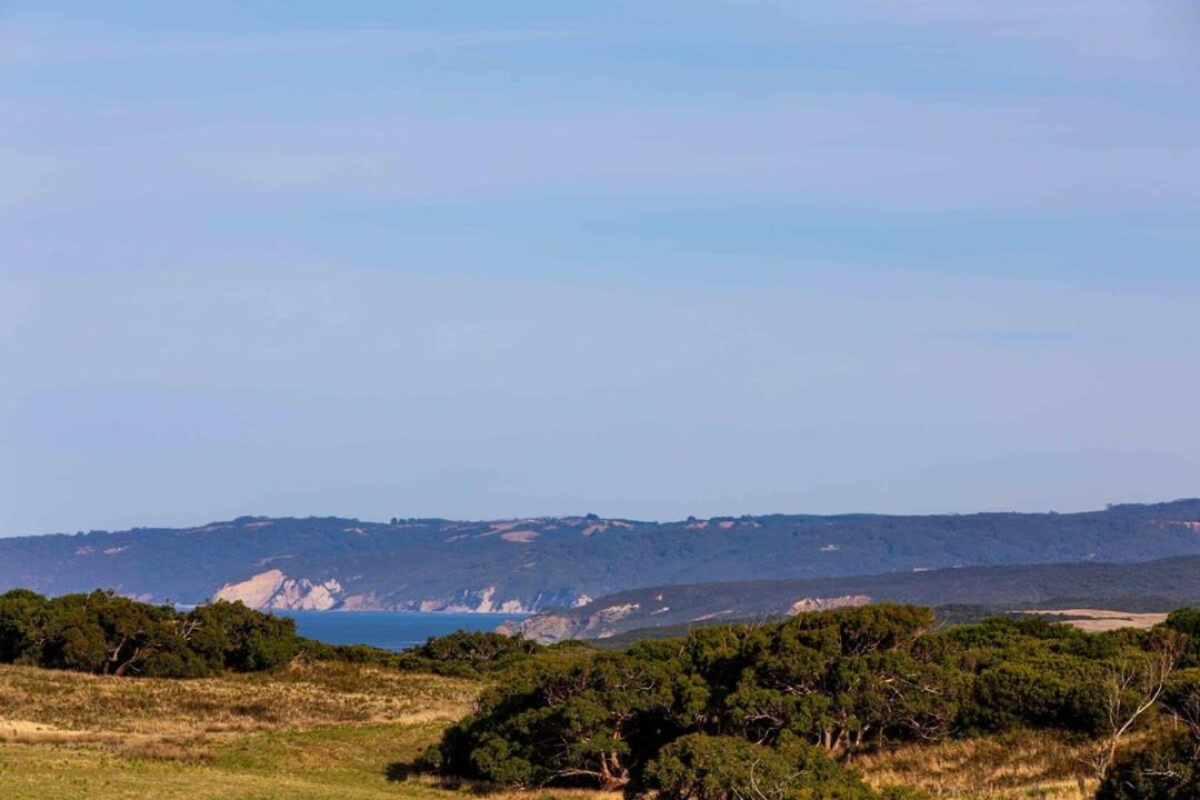 Photo of Outdoor in Cape Otway