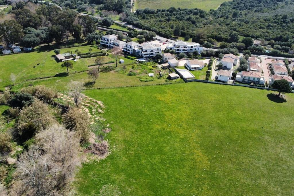 Photo of Others in Saint-Florent