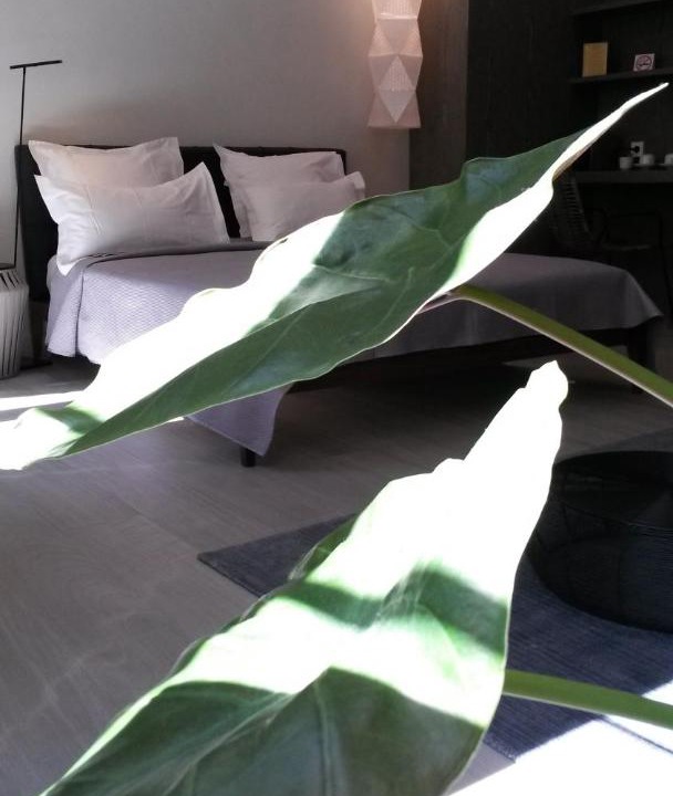 Photo of Others in Old Town