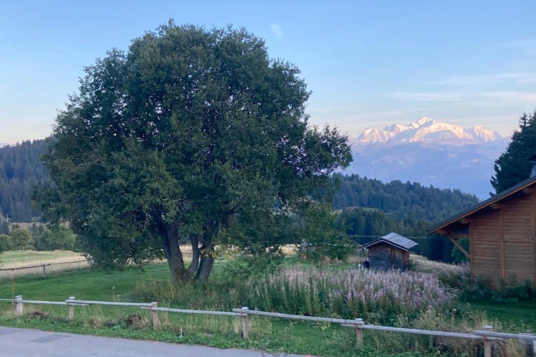 Photo of Others in Le Praz de Lys