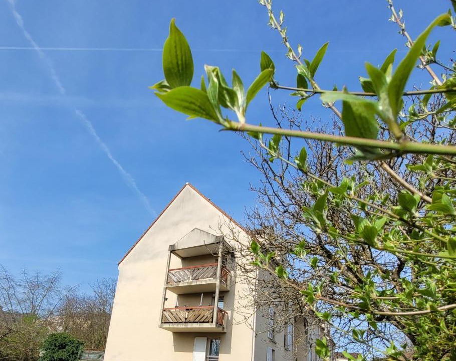 Photo of Others in Melun