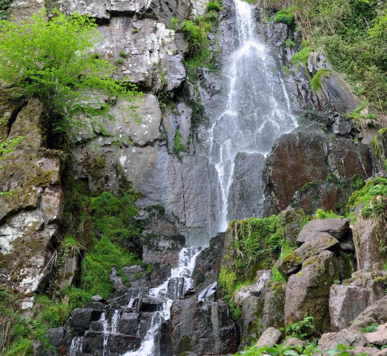 Photo of Others in Oberhaslach