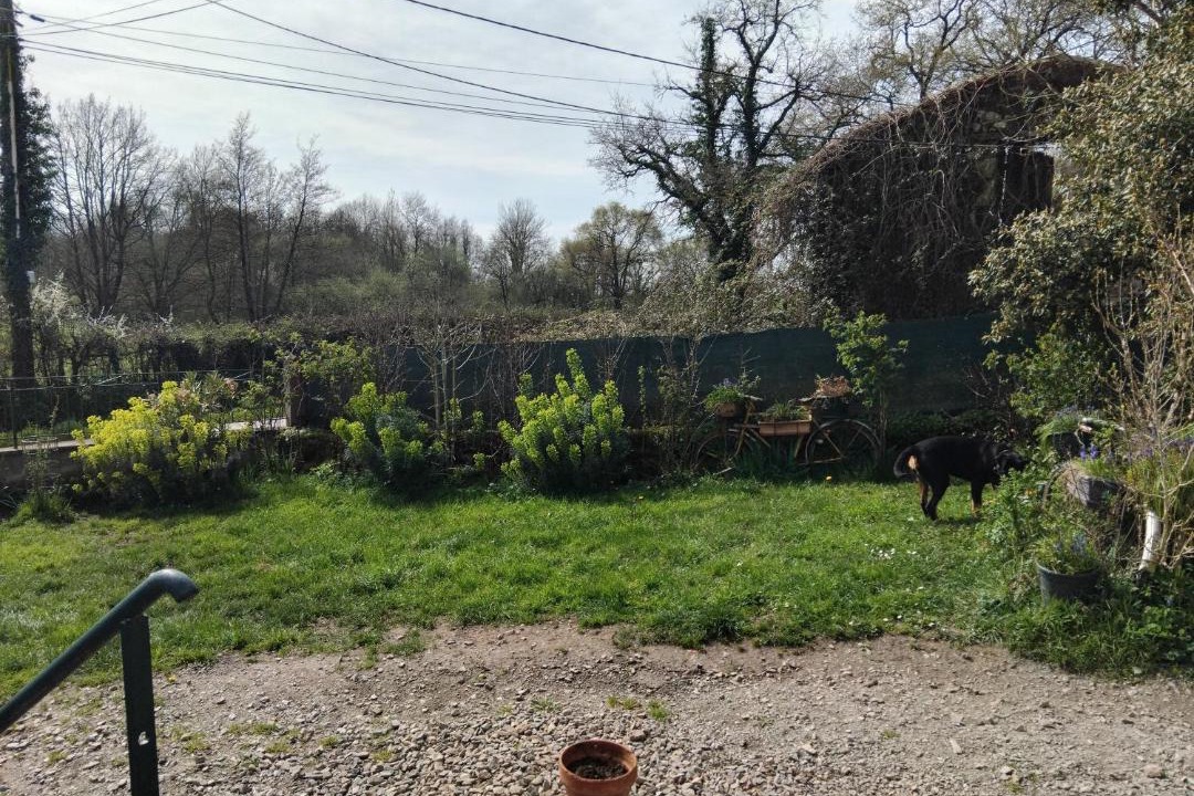 Photo of Others in Saint-Cyr-des-Gats