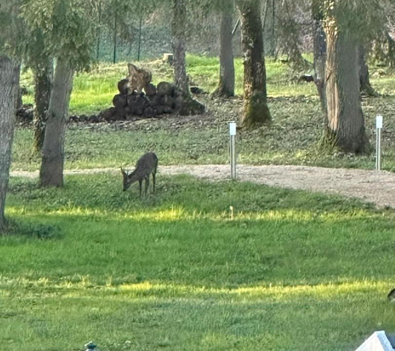 Photo of Others in Sermaise