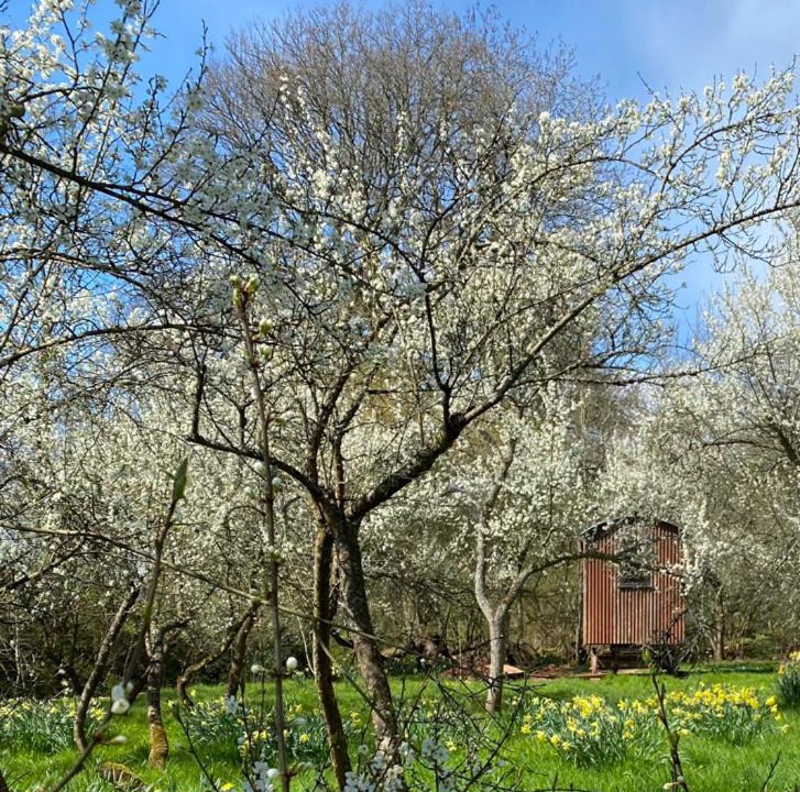 Photo of Others in Rock