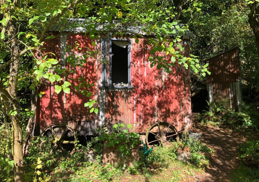 Photo of Others in Rock