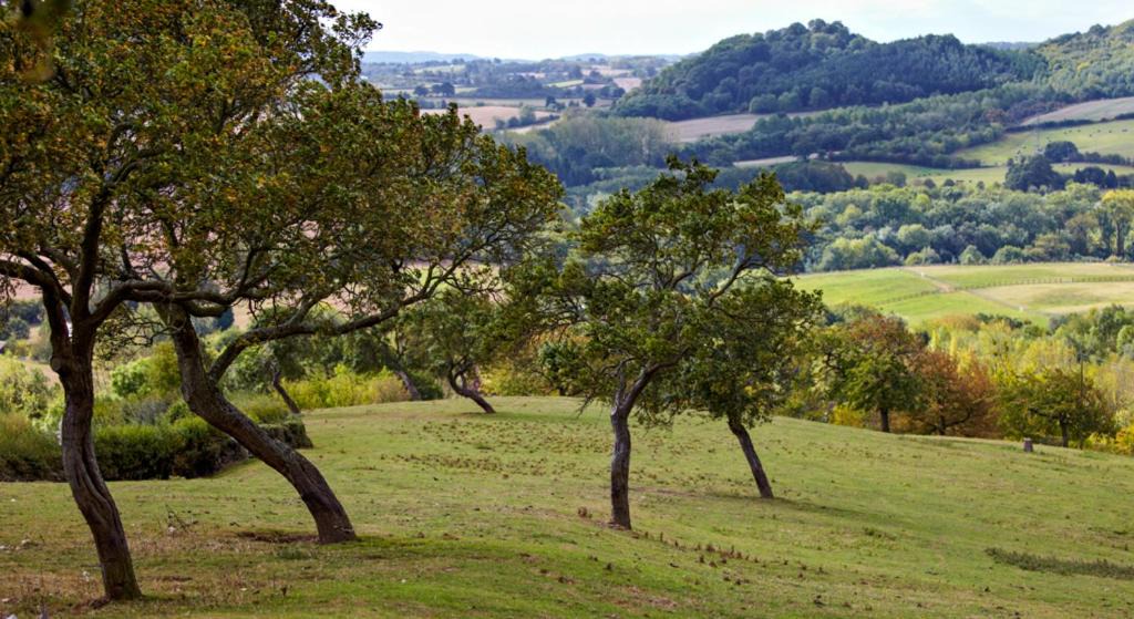 Photo of Outdoor in Rock