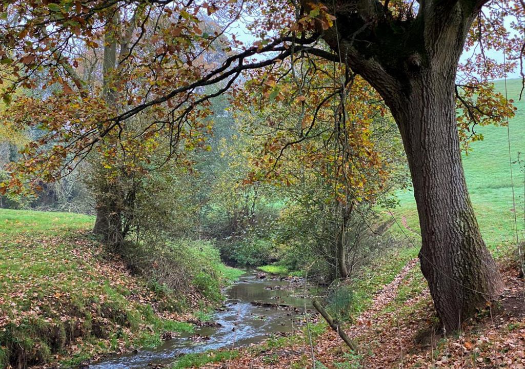 Photo of Others in Rock