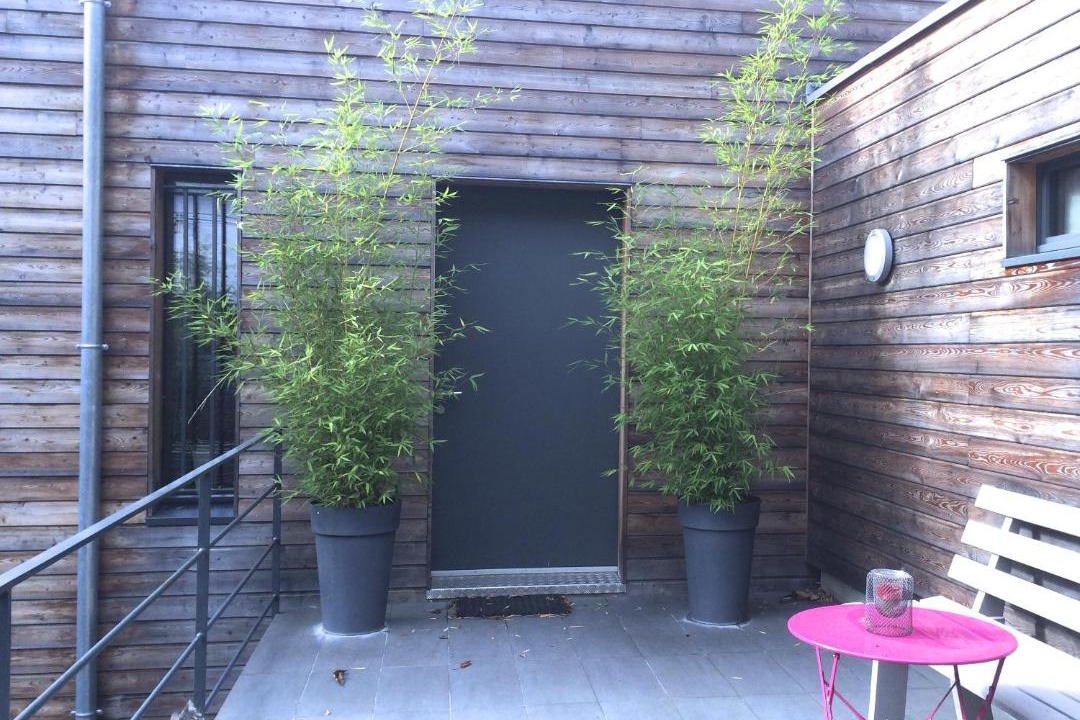 Photo of Others in Saint-Remy-les-Chevreuse