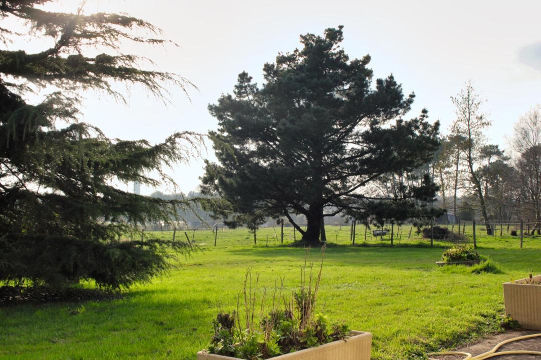 Photo of Others in Herbignac