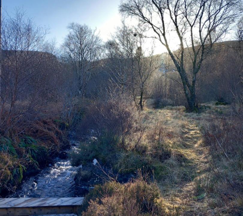 Photo of Others in Portree