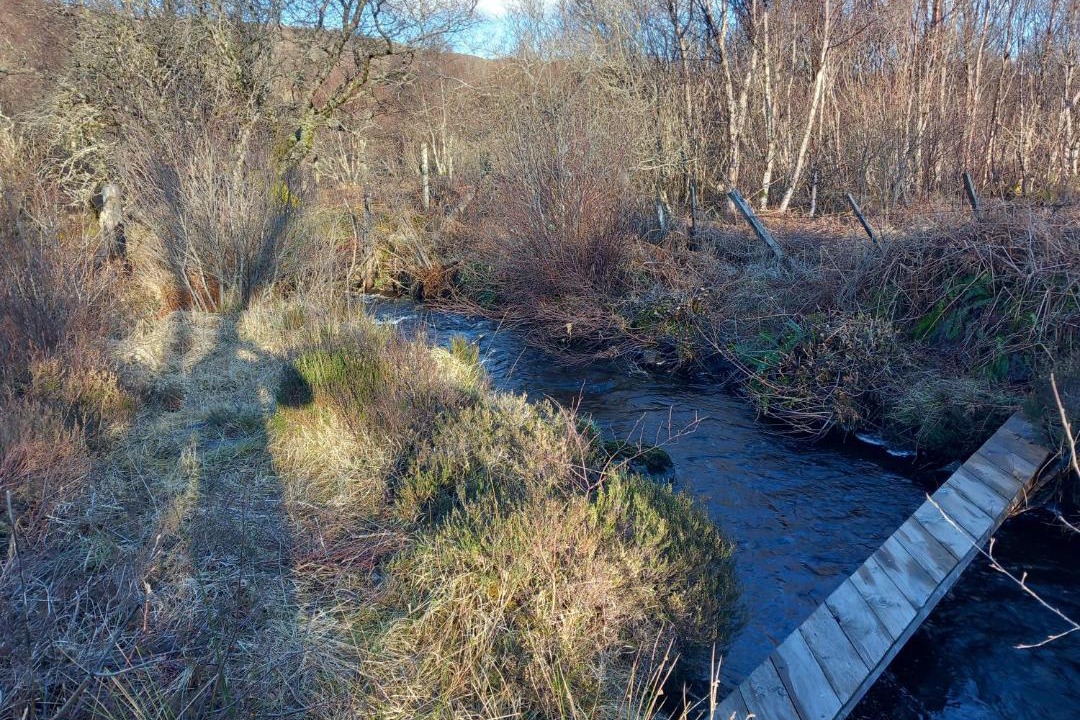 Photo of Others in Portree