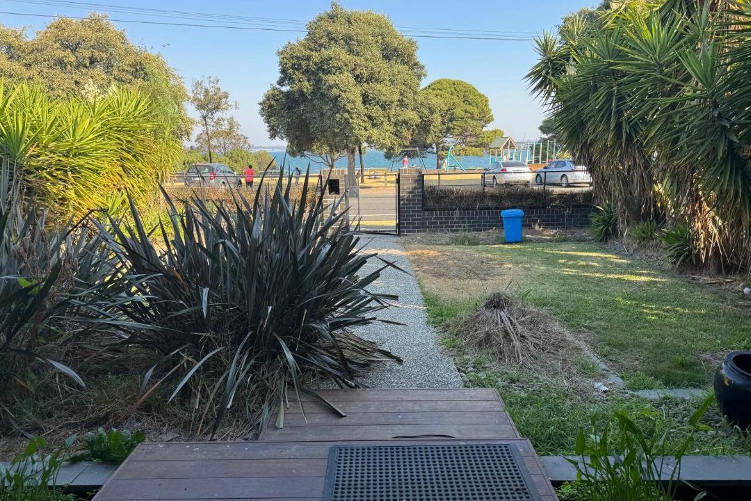 Photo of Others in North Shore