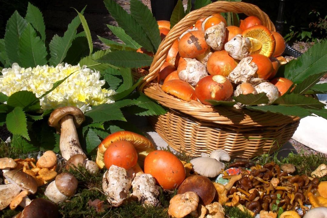 Photo of Others in Quarre-les-Tombes