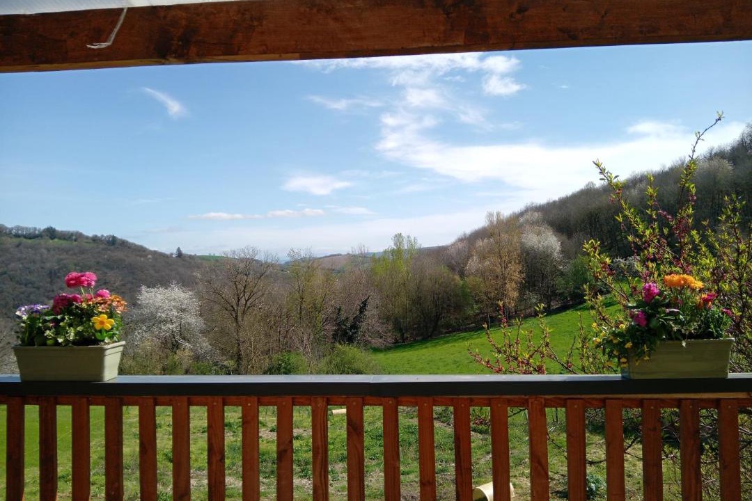 Photo of Others in Connac