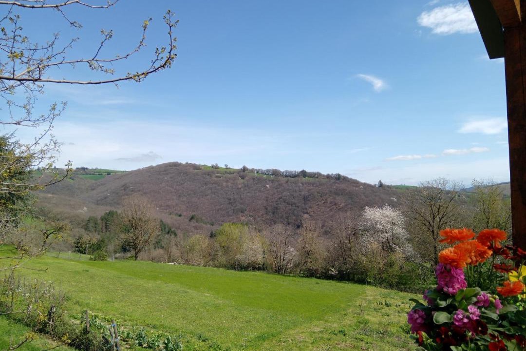 Photo of Others in Connac