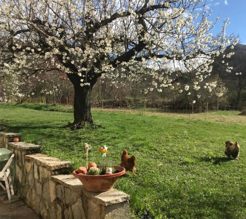 Photo of Others in Saint-Etienne-le-Laus