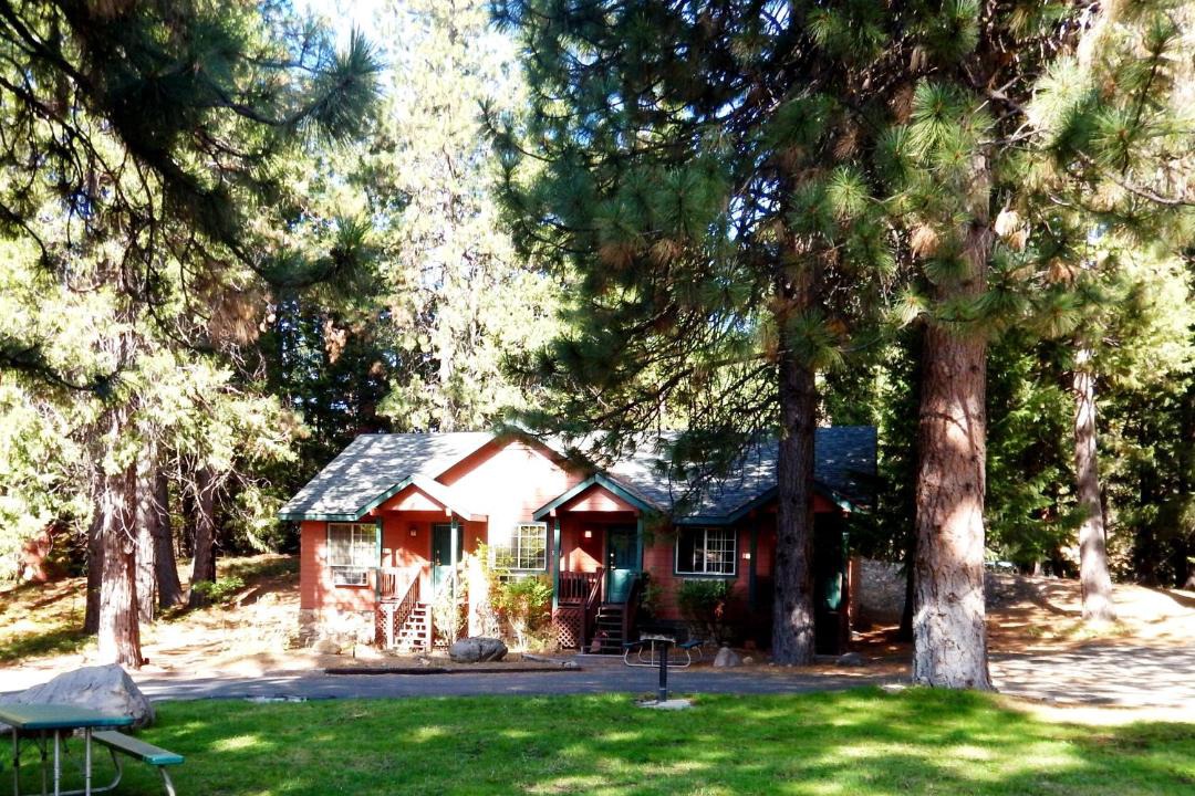 Photo of Others in Mount Shasta