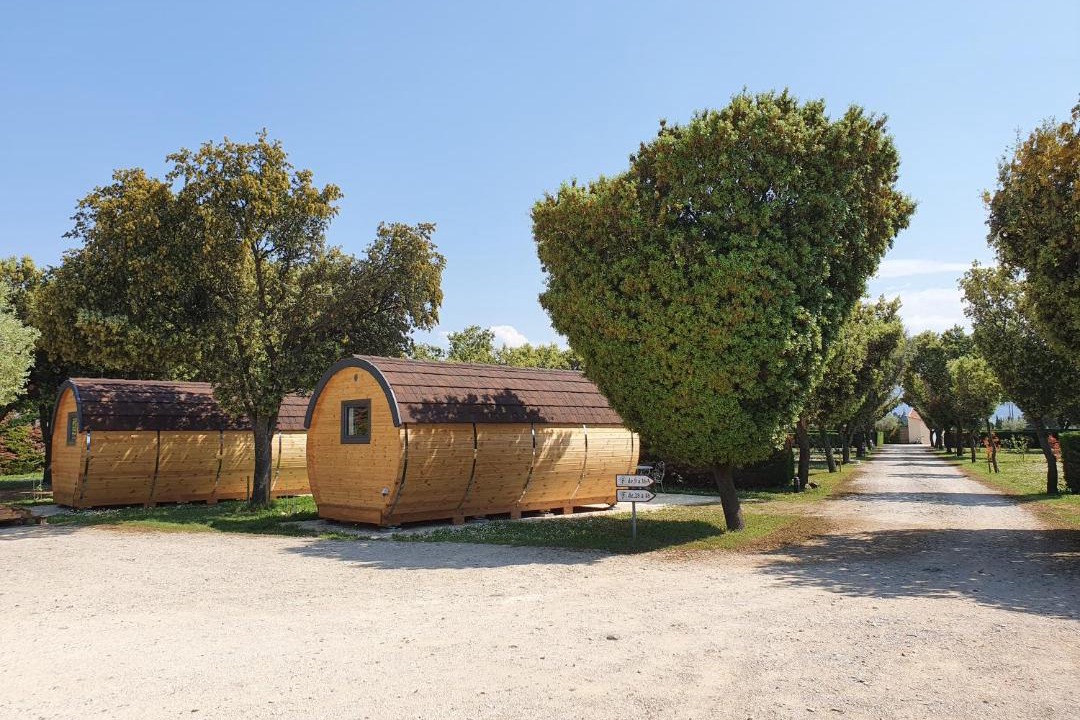 Photo of Others in Violes