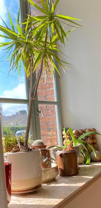 Photo of Others in Plouer-sur-Rance