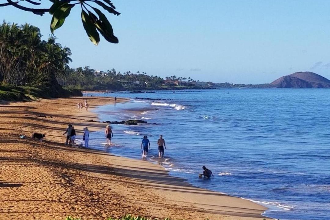 Photo of Others in Kihei