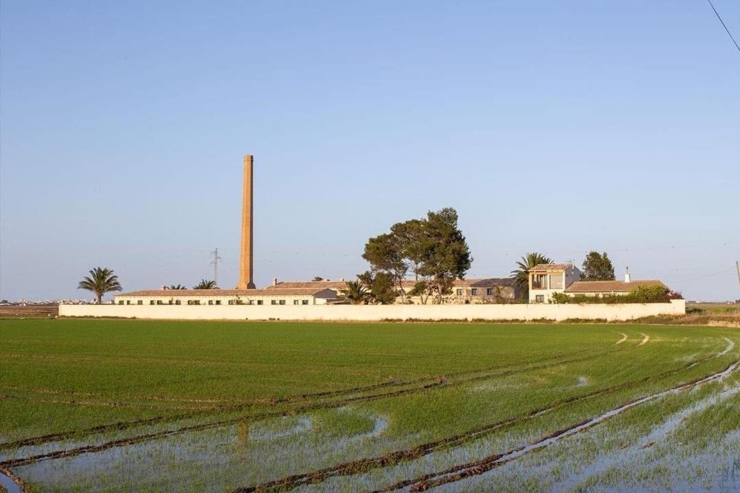Photo of Outdoor in Sueca
