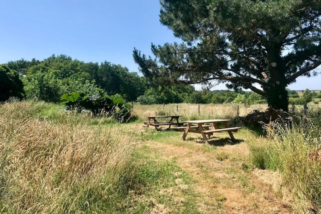 Photo of Others in Herbignac