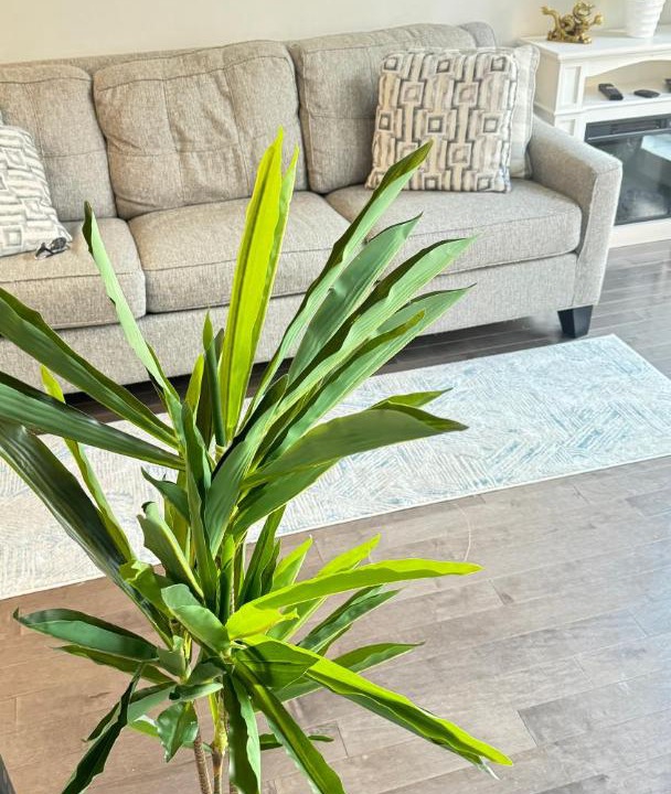 Photo of Livingroom in Newbold