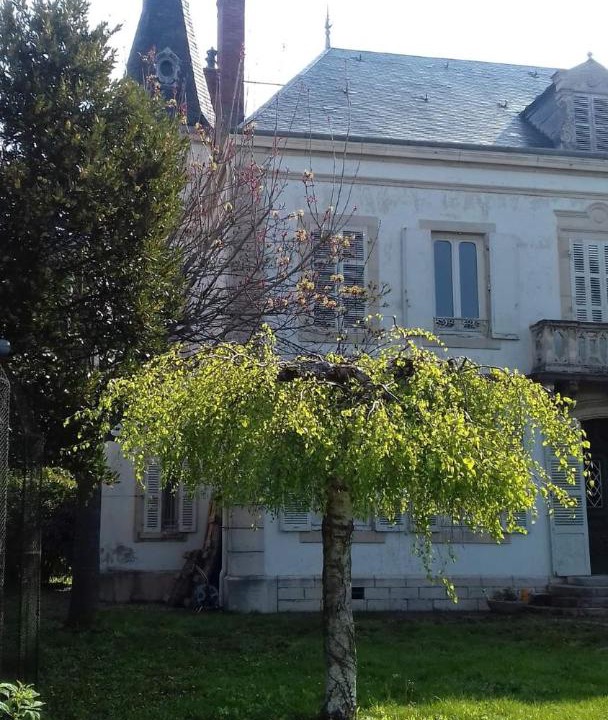 Photo of Buildings in Seurre