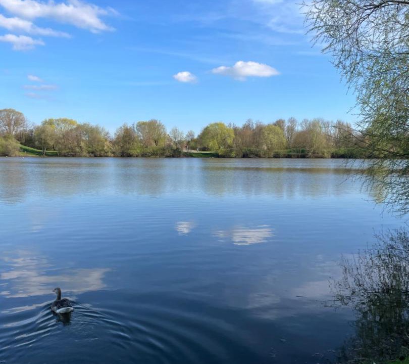 Photo of Others in La Ferte-Bernard