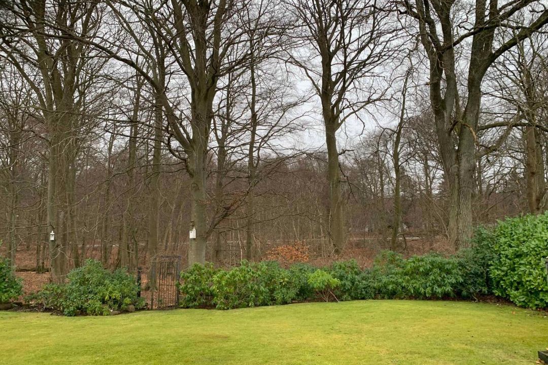 Photo of Others in Alsgarde