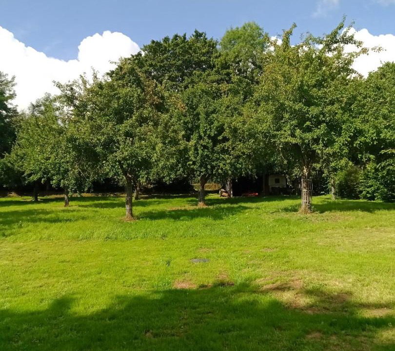 Photo of Others in Le Faulq