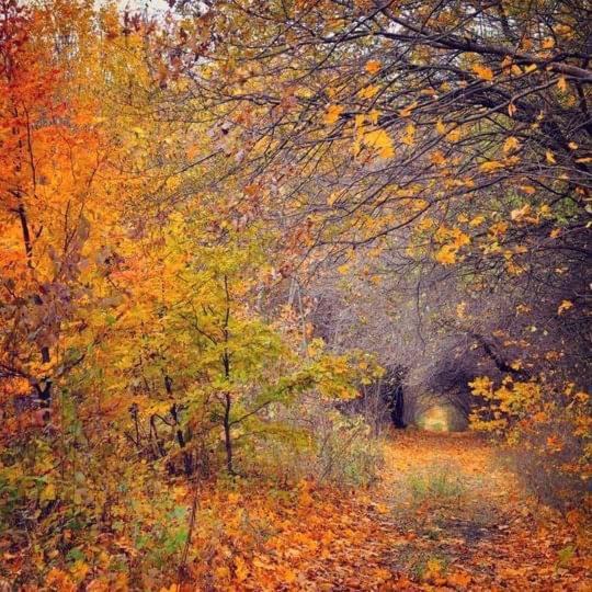 Photo of Outdoor in Olby