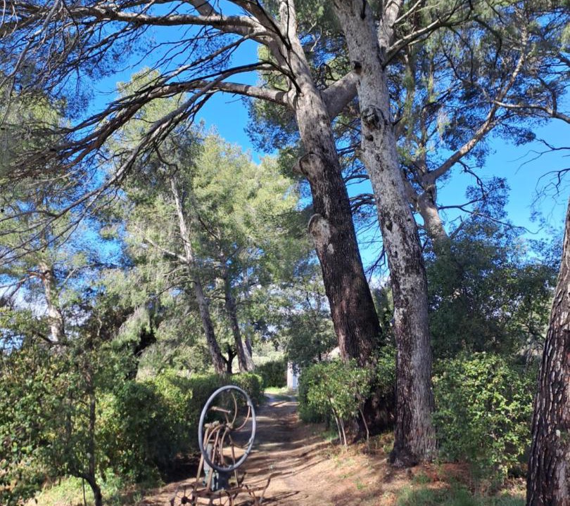 Photo of Others in Sainte-Anne du Castellet