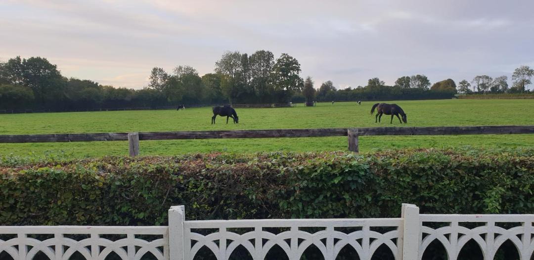 Photo of Others in Bonnebosq