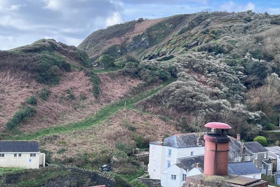 Photo of Others in Portloe