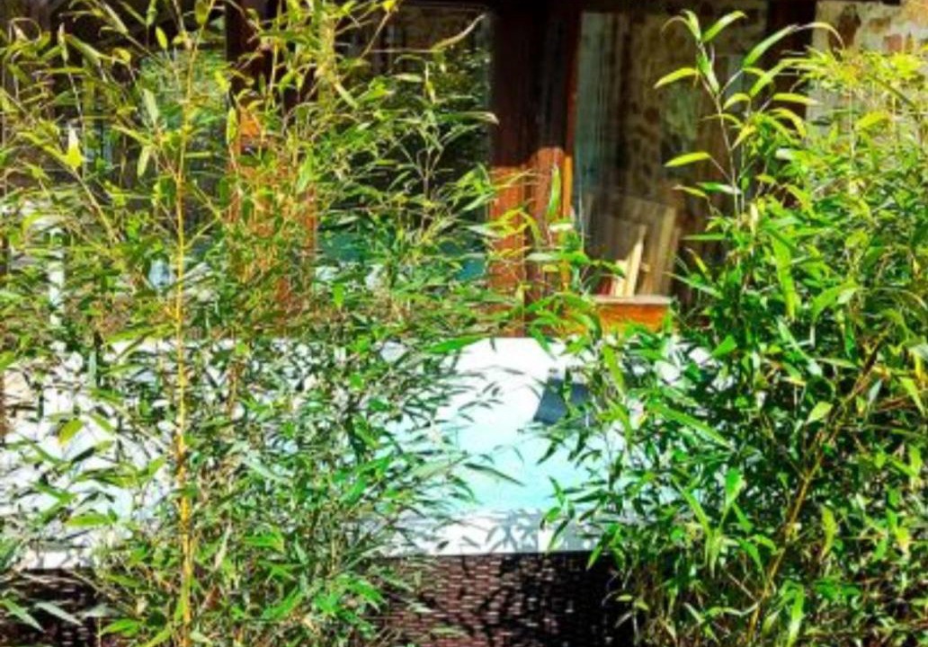 Photo of Others in Anjouin