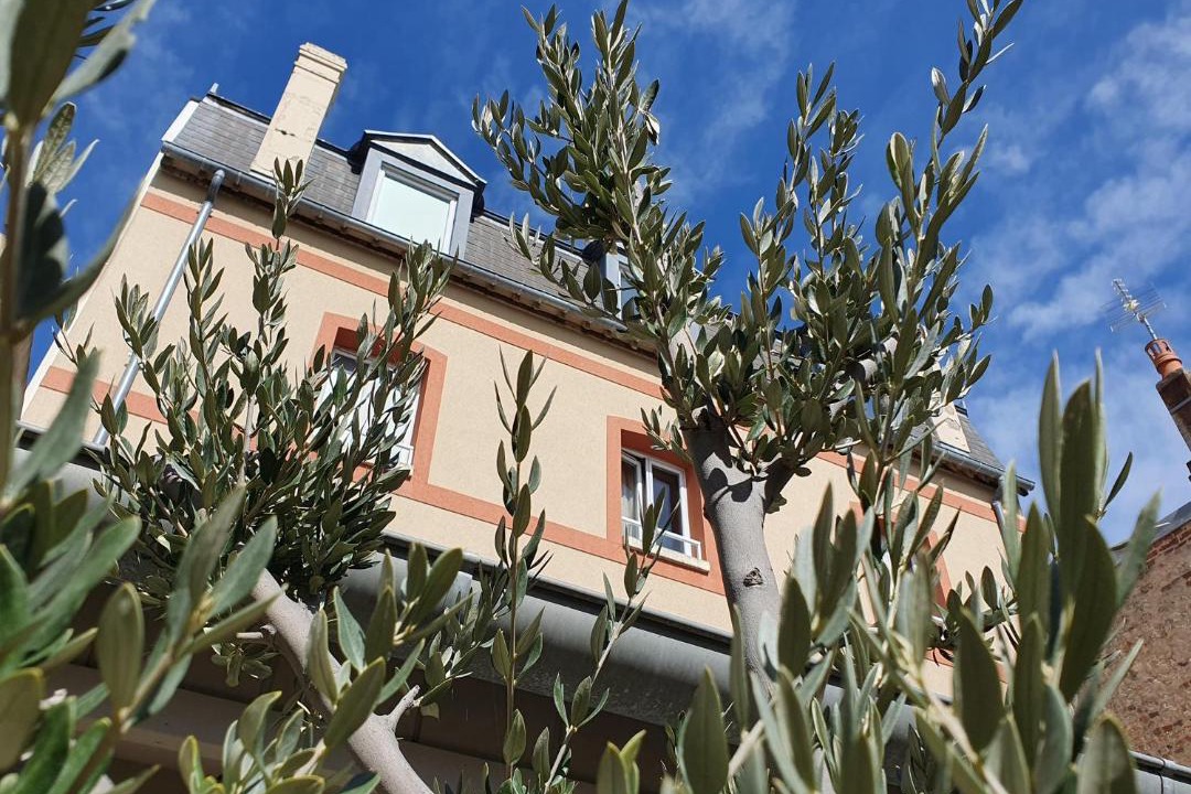 Photo of Others in Houlgate