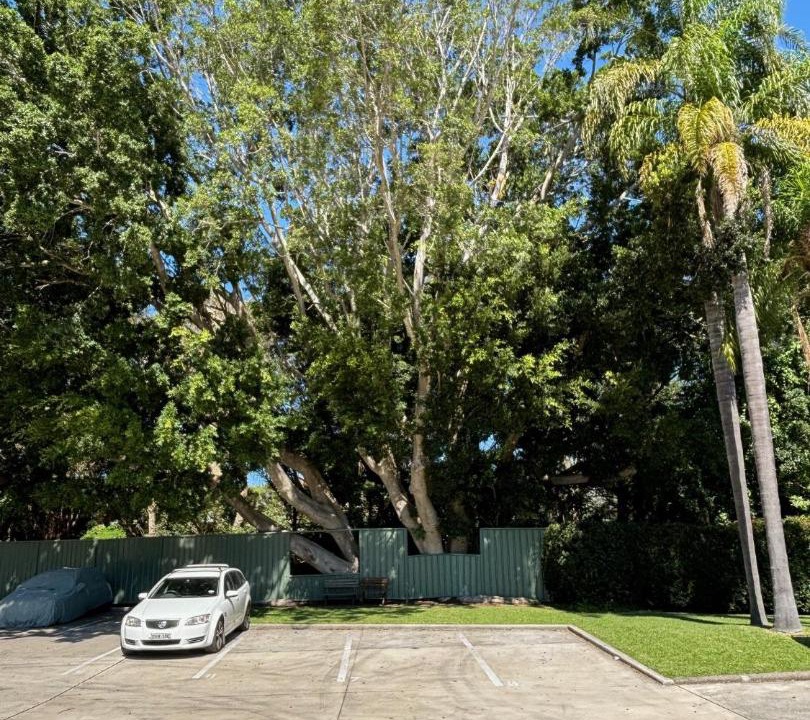 Photo of Others in Cromer