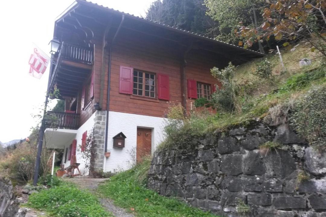 Photo of Others in Champery