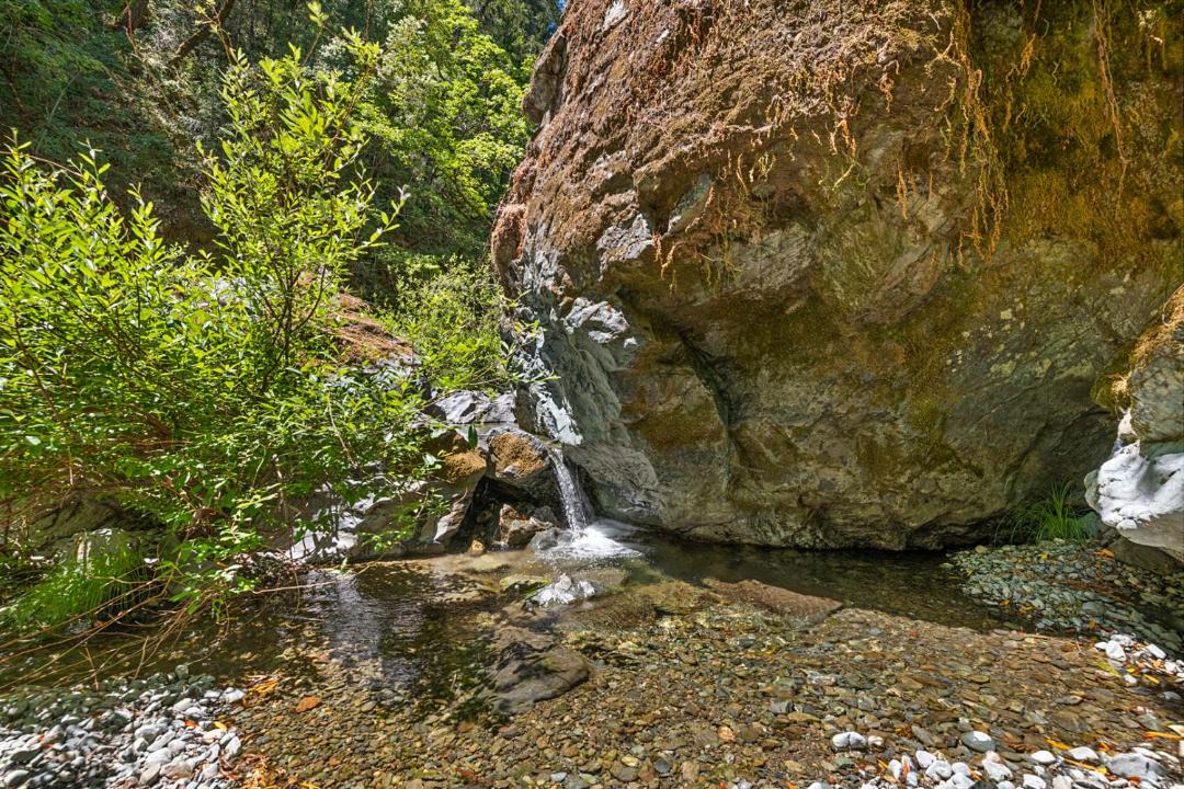 Photo of Others in Cazadero