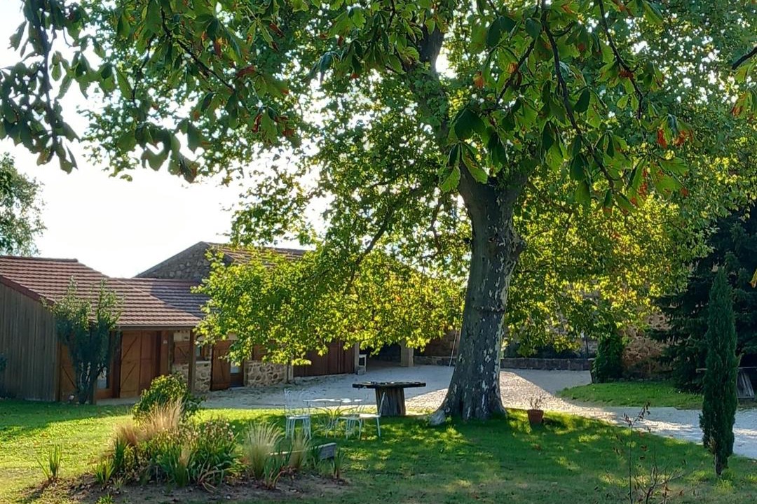 Photo of Others in Cheminas