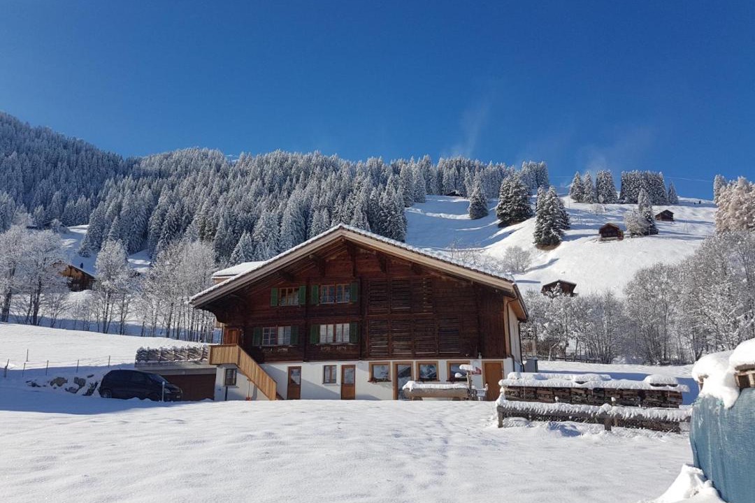 Photo of Others in Adelboden