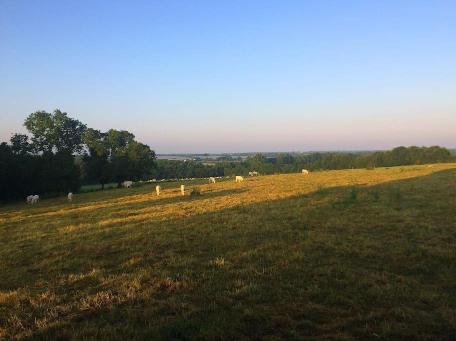 Photo of Others in Loireauxence