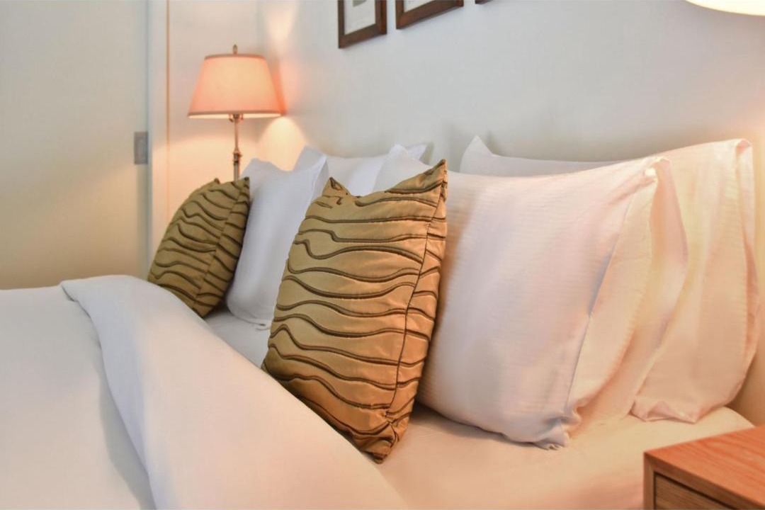 Photo of Others in Turangi