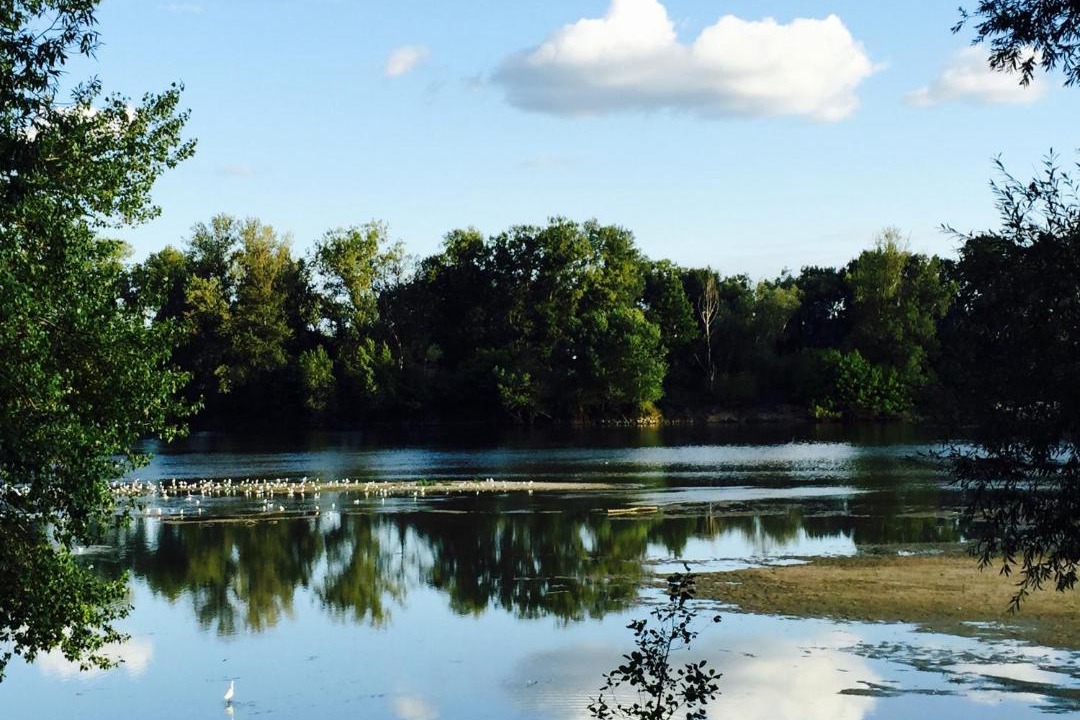 Photo of Others in Rochecorbon