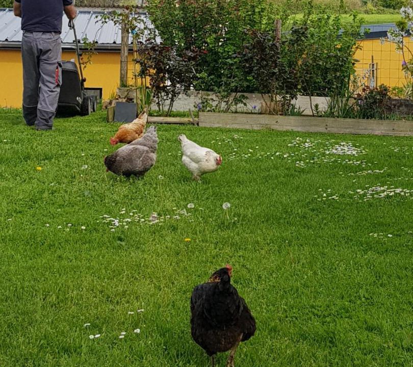 Photo of Others in Coudeville-sur-Mer