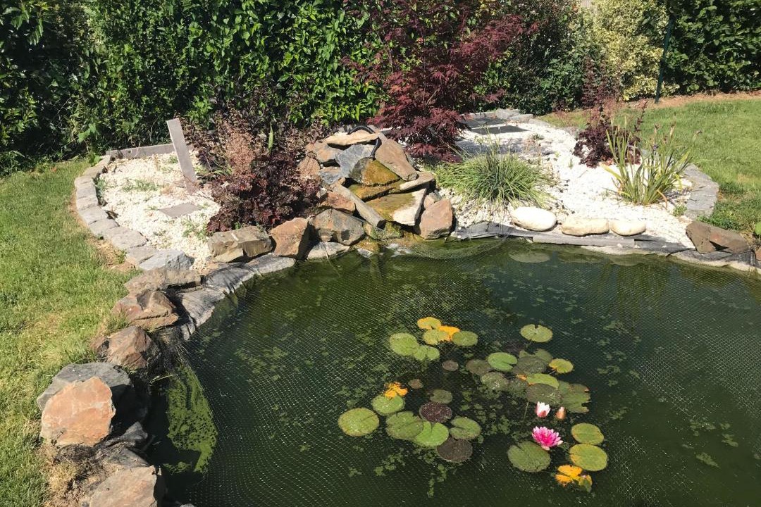 Photo of Others in Vaucelles